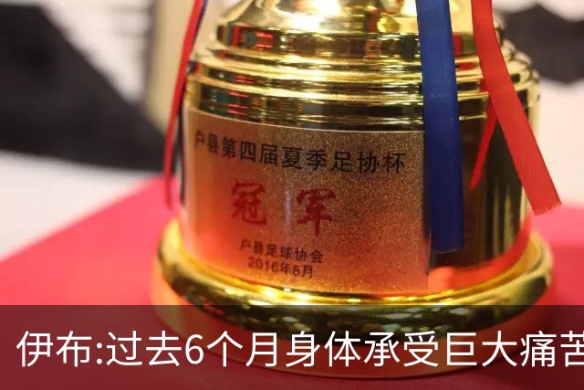 伊布:过去6个月身体承受巨大痛苦 只为帮球队夺冠